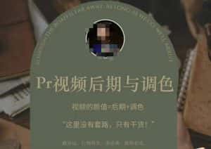 Pr视频后期与调色,视频颜值=后期+调色,这里没有套路,只有干货!-优优云创网