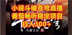 （6584期）小说斗破苍穹直播，番茄畅听日入300+稳定项目-优优云创网