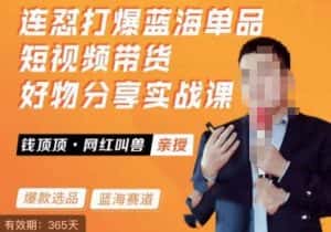 网红叫兽·连怼打爆蓝海单品,短视频带货好物分享实战课-优优云创网