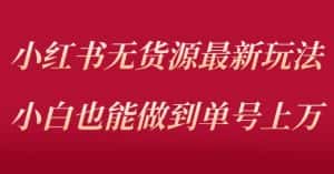 小红书无货源最新螺旋起号玩法,电商小白也能做到单号上万(价值3980元)-优优云创网