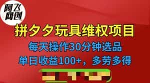 (6593期)拼多多3C玩具维权项目,一天操作半小时,稳定收入100+(仅揭秘)-优优云创网