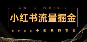 2023小而美的项目，小红书流量掘金，实操一天，收益200+【揭秘】-优优云创网
