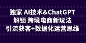 (6599期)独家 AI技术&ChatGPT解锁 跨境电商新玩法,引流获客+数据化运营思维-优优云创网