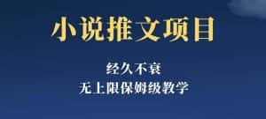 经久不衰的小说推文项目,单号月5-8k,保姆级教程,纯小白都能操作-优优云创网