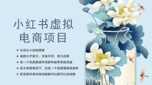 (6607期)小红书虚拟电商从0到1,让你从小白到精英(20节实操课程)-优优云创网