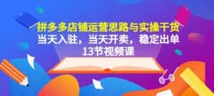 拼多多店铺运营思路与实操干货,当天入驻,当天开卖,稳定出单(13节课)-优优云创网