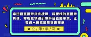 李扭扭直播带货实战课,超硬核的直播带货课,零粉丝快速引爆抖音直播带货,让普通人做直播带货更简单-优优云创网