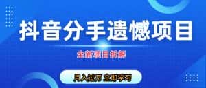 （6633期）自媒体抖音分手遗憾项目私域项目拆解-优优云创网