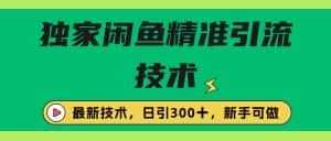 (6635期)独家闲鱼引流技术,日引300+实战玩法-优优云创网
