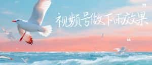 (6637期)视频号做下雨视频,一个账号一周涨粉10W+,日入1000+,附保姆级教程-优优云创网