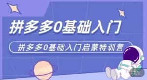 拼多多运营0-1实操特训营,拼多多0基础入门,从基础到进阶的可实操玩法-优优云创网