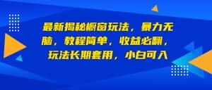 (6649期)最新揭秘橱窗玩法,暴力无脑,收益必翻,玩法长期套用,小白可入-优优云创网