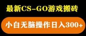 最新csgo游戏搬砖游戏,无需挂机小白无脑也能日入300+-优优云创网