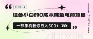 （6652期）适合小白的0成本咸鱼电商项目，一部手机，教你如何日入500+的保姆级教程-优优云创网