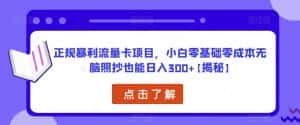 正规暴利流量卡项目，小白零基础零成本无脑照抄也能日入300+【揭秘】-优优云创网