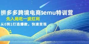 （4622期）拼多多跨境电商temu特训营：先入局吃一波红利，从0到1打造爆款，快速变现-优优云创网