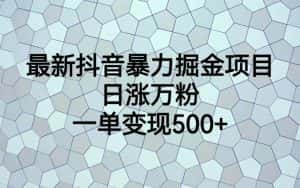 （6642期）最新抖音暴力掘金项目，日涨万粉，一单变现500+-优优云创网