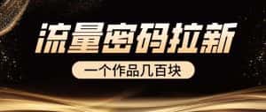 流量密码拉新项目， 一个作品几百块-优优云创网