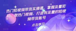 热门短视频带货实操课，掌握流量密码，做热门视频，打造有流量的短视频带货账号-优优云创网
