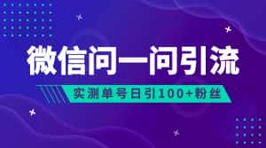 (6678期)流量风口:微信问一问,可引流到公众号及视频号,实测单号日引流100+-优优云创网