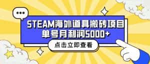 （6688期）收费6980的Steam海外道具搬砖项目，单号月收益5000+全套实操教程-优优云创网