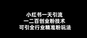 小红书一天引流一二百创业粉技术，可引全行业精准粉玩法【仅揭秘】-优优云创网