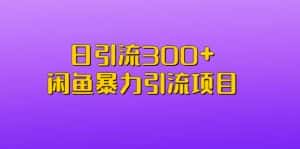 （6694期）日引流300+闲鱼暴力引流项目-优优云创网