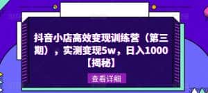 抖音小店高效变现训练营（第三期），实测变现5w，日入1000【揭秘】-优优云创网