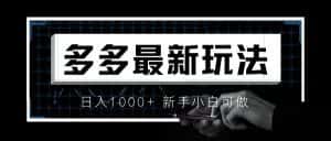 (6699期)价值4980的拼多多最新玩法,月入3w【新手小白必备项目】-优优云创网