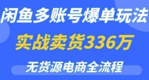 闲鱼多账号爆单玩法,无货源电商全流程,超简单的0门槛变现项目【揭秘】-优优云创网
