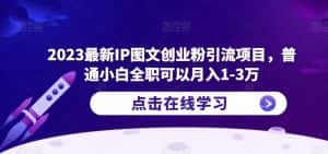 2023最新IP图文创业粉引流项目,普通小白全职可以月入1-3万-优优云创网