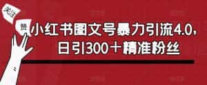 小红书图文号暴力引流4.0，日引300＋精准粉丝【揭秘】-优优云创网