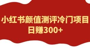 外面1980的项目,小红书颜值测评冷门项目,日赚300+【揭秘】-优优云创网