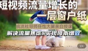 任性大舅·宠物行业短视频运营课(不讲废话),短视频流量增长的一层窗户纸,解决流量焦虑&实现降本增效-优优云创网
