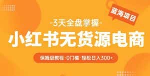 2023【阿本小红书无货源电商训练营】保姆级教程,从0到1,3天全盘掌握,轻松日入300+-优优云创网