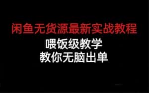 （6762期）闲鱼无货源最新实战教程，喂饭级教学，教你无脑出单-优优云创网