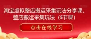淘宝虚拟整店搬运采集玩法分享课，整店搬运采集玩法（5节课）-优优云创网