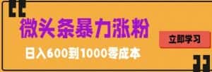 微头条暴力涨粉技巧搬运文案就能涨几万粉丝，简单0成本，日赚600【揭秘】-优优云创网