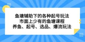 （6769期）鱼塘 辅助下的各种起号玩法，市面上少有的鱼塘课程 养鱼 起号 选品 爆流…-优优云创网