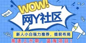 有道词典WOW社区项目，新人小白强力推荐，提前布局，高速上升期，蓝海项目【揭秘】-优优云创网