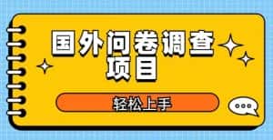 国外问卷调查项目，日入300+，在家赚美金【揭秘】-优优云创网