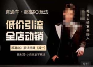 电商冰可乐·直通车·《低价引流·全店动销》,直通车·超高ROI玩法(其一)全店动销必学玩法-优优云创网