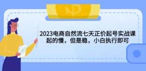 2023电商自然流七天正价起号实战课：起的慢，但是稳，小白执行即可！-优优云创网