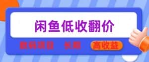 闲鱼低收翻价数码暴利项目，长期高收益【揭秘】-优优云创网