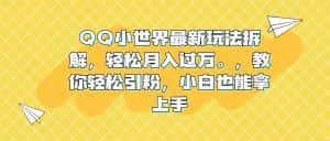 (6775期)QQ小世界最新玩法拆解,轻松月入过万。教你轻松引粉,小白也能拿上手-优优云创网