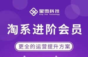 星雪·淘系进阶课程,快速提升突破技能流量瓶颈必备(更新2023年5月)-优优云创网
