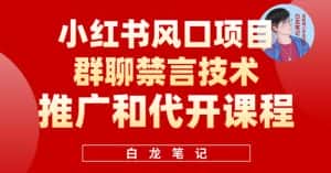小红书风口项目日入300+,小红书群聊禁言技术代开项目,适合新手操作-优优云创网