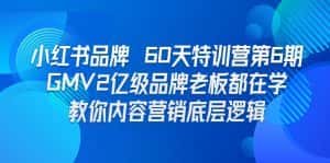 (6798期)小红书品牌 60天特训营第6期 GMV2亿级品牌老板都在学 教你内容营销底层逻辑-优优云创网