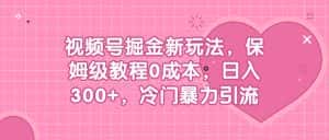 (6802期)视频号掘金新玩法,保姆级教程0成本,日入300+,冷门暴力引流-优优云创网