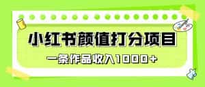 (6804期)适合0基础小白的小红书颜值打分项目,一条作品收入1000+-优优云创网